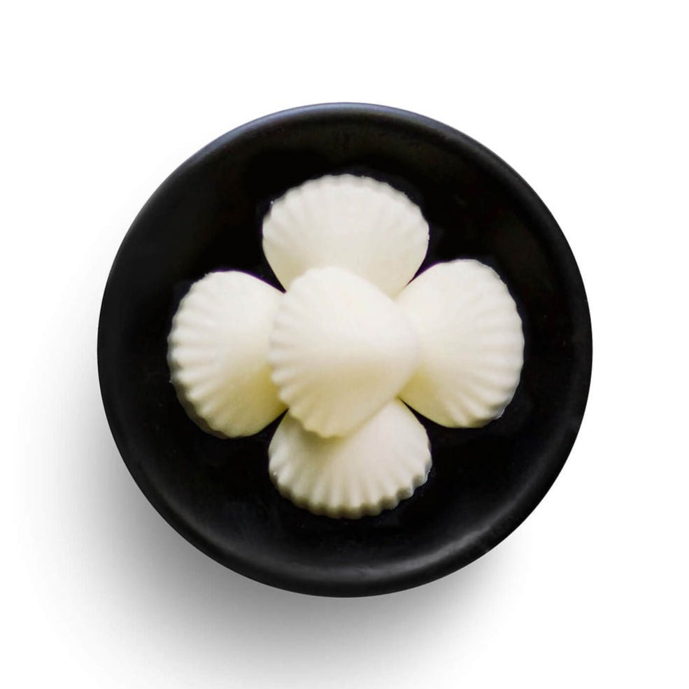 Freckleface Sea Breeze - Individual Soya Wax Melt