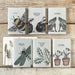 East of India Small Block Print Book - Bee