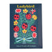 Rex London Ladybird Greeting Cards Pack Of 10