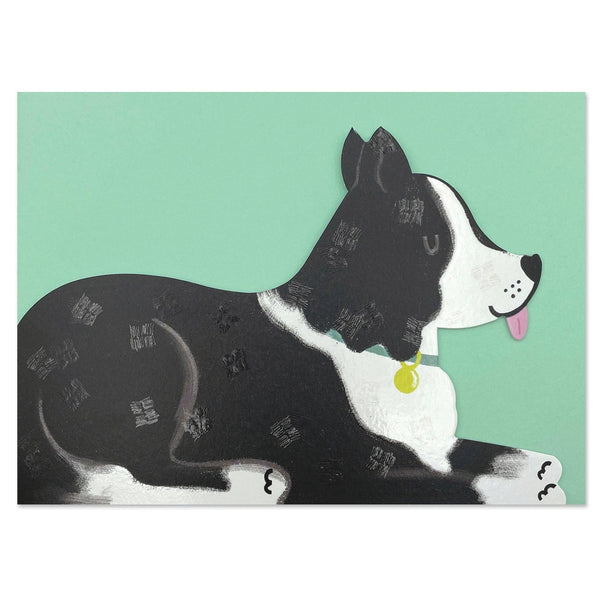 Raspberry Blossom Border Collie Dog Greetings Card