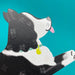 Raspberry Blossom Border Collie Dog Greetings Card