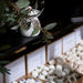 Freckleface Lemon & Pine - Individual Soya Wax Melt