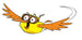Bird and Squirrel on the Run Book