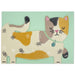 Raspberry Blossom Black And White Cat Greetings Card