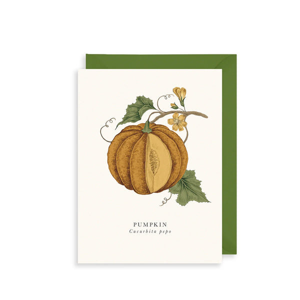 The Art File Pumpkin Greetings Card