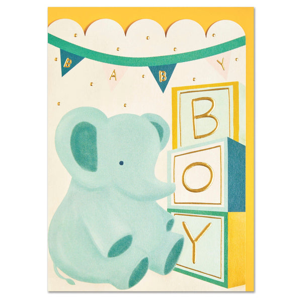 Raspberry Blossom New Baby Boy Card - Raspberry Blossom