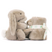Jellycat Bashful Beige Bunny Soother