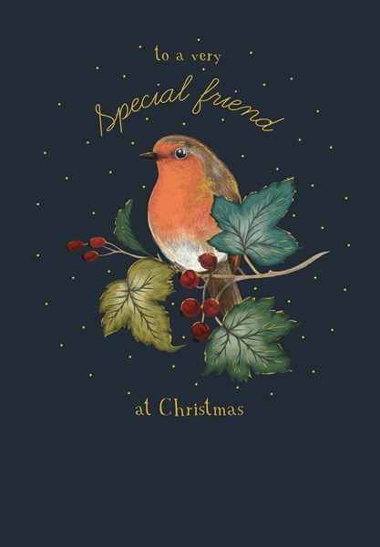 The Art File Special Friend Robin Christmas Card
