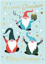 The Art File Special Grandson Gnomes Christmas Card