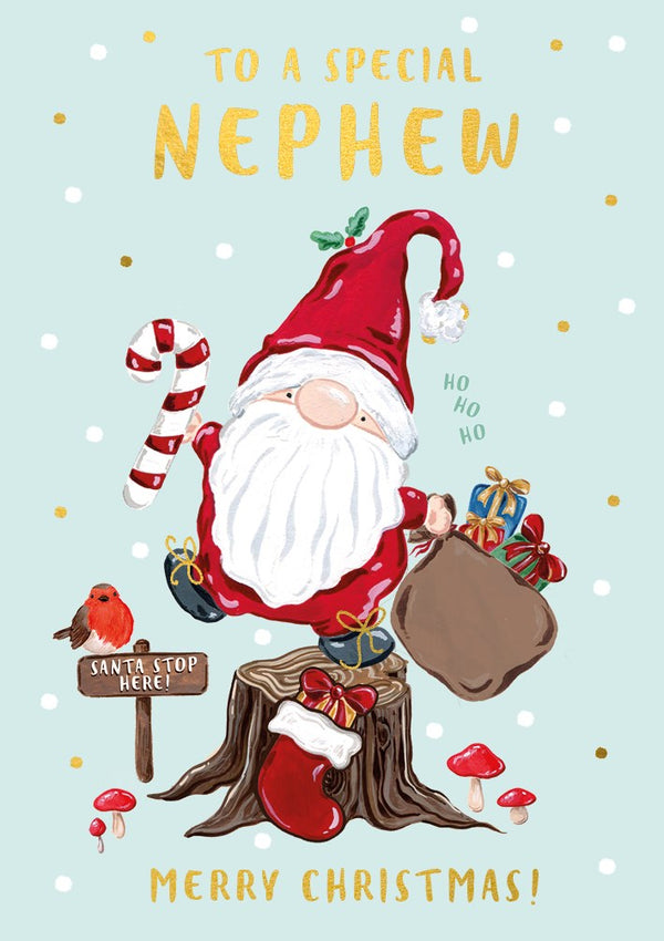 The Art File Special Nephew Christmas Card