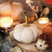 Lisa Angel Small Cream Velvet Pumpkin Standing Decoration