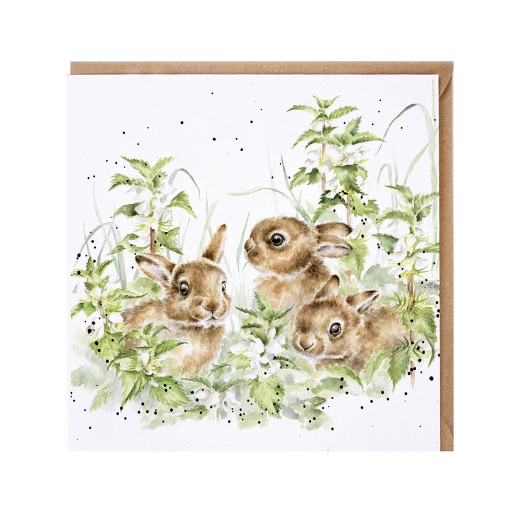 Wrendale 'Spring Hares' hare card