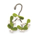 Fiona Walker Mistletoe Mini Twig Christmas Hanger