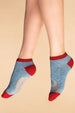 Powder Winter's Night Trainer Socks