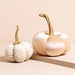 Lisa Angel Small Cream Velvet Pumpkin Standing Decoration