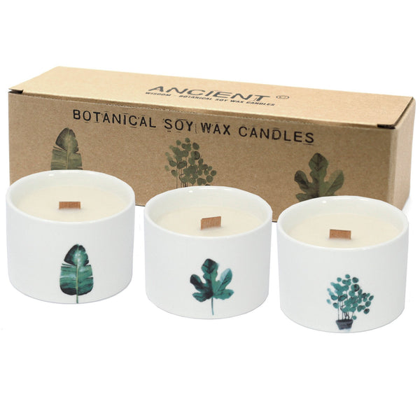 Ancient Wisdom Single Botanical Soy Wax Candle - Lemon Honeysuckle