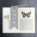 East of India Bookmark - Special Teacher