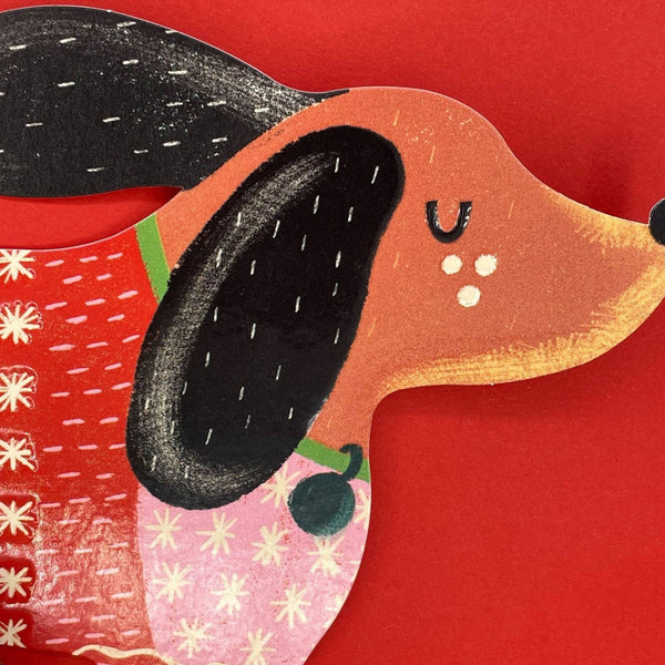 Raspberry Blossom Dachshund in Christmas Jumper