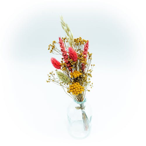Dried Flower Bouquet - Pink Tints - Mini