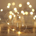 Lisa Angel 30 Battery Powered LED Silver Wire String Lights