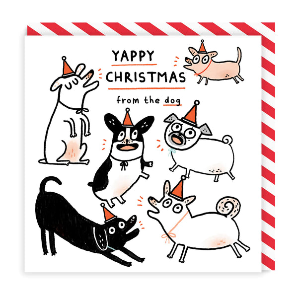 Ohh Deer Yappy Christmas From The Dog Square Christmas Card