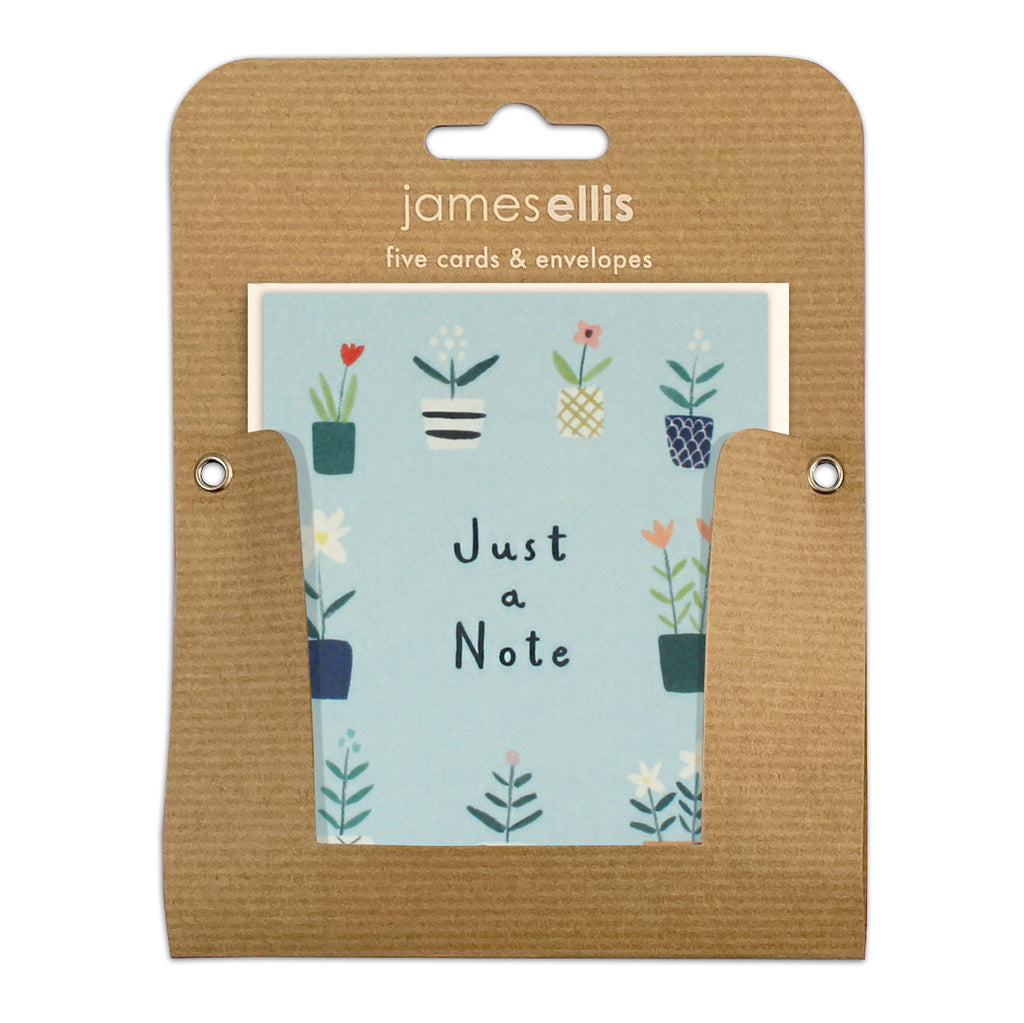 James Ellis Just a Note Plant Pots pk of 5 cards