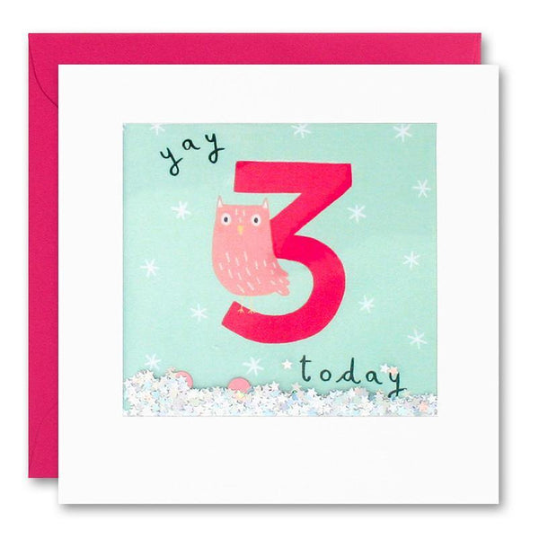 James Ellis PT2787 - Age 3 Owl Shakies Card