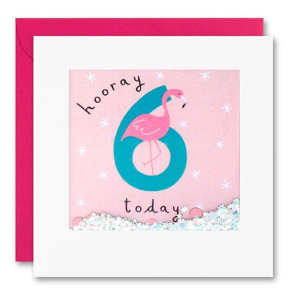 James Ellis - Age 6 Flamingo Shakies Card