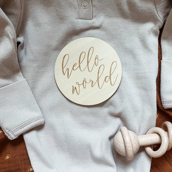 Hello World - Birth Announcement Sign