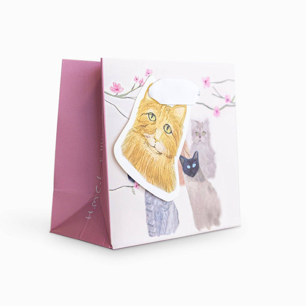 A square white gift box or package with a pink side panel, decorated with an illustration of three cats and pink blossoms. A die-cut sticker of an orange tabby cat is placed on top of the front.