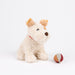 A plush dog toy in cream-colored curly fabric with tan ears, a red collar, and a brown nose, sitting next to a small multi-colored ball on a white background.