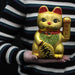 Ancient Wisdom Classic Money Cat