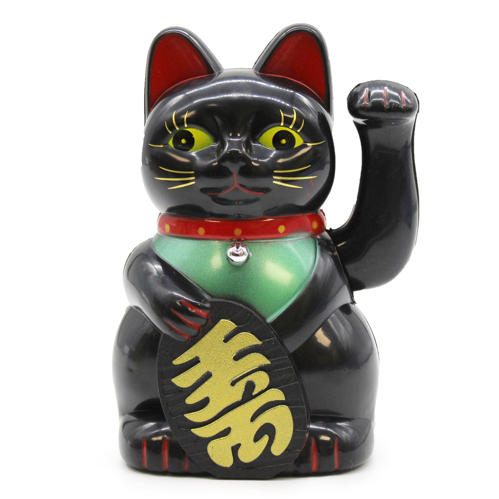 Ancient Wisdom Black Money Cat