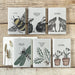 East of India Small Block Print Book - Snowdrops