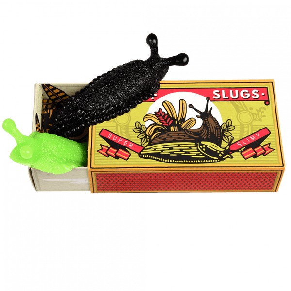 Rex London Box of Two Slimy Slugs