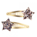 Rex London Glitter Hair Clips (set of 2) - Fairies In The Garden Star