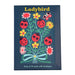 Rex London Ladybird Greeting Cards (Pack Of 10)