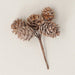Three natural pinecones with a light dusting of snow, attached to a single brown stem, displayed on a textured off-white background.