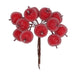 Gisela Graham Frosted Red Mini Apple Bunch