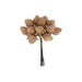 Bouquet of decorative berries on a white background