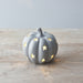 LED Ceramic Pumpkin, Grey