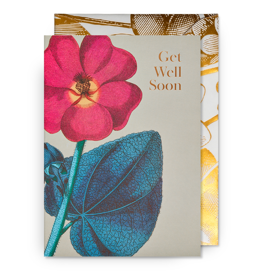 Lagom Design Get Well Soon Card Hollyhock Greeting Card