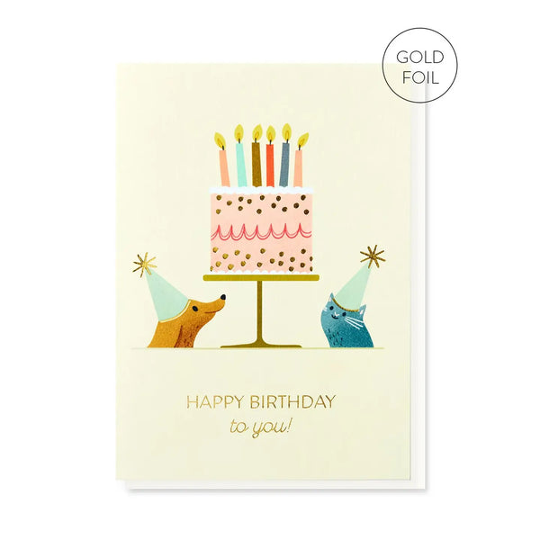 Stormy Knight Party Pets Birthday Card