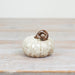 Small white pumpkin with a brown stem on a white surface