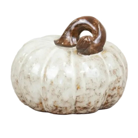 Small white pumpkin with a brown stem on a light wooden surface