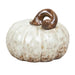 Small white pumpkin with a brown stem on a light wooden surface