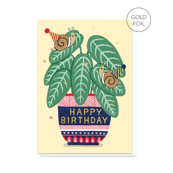 Stormy Knight House Plant Birthday Card