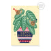 Stormy Knight House Plant Birthday Card