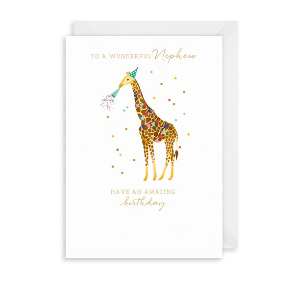 The Art File Wonderful Nephew Greetings Card