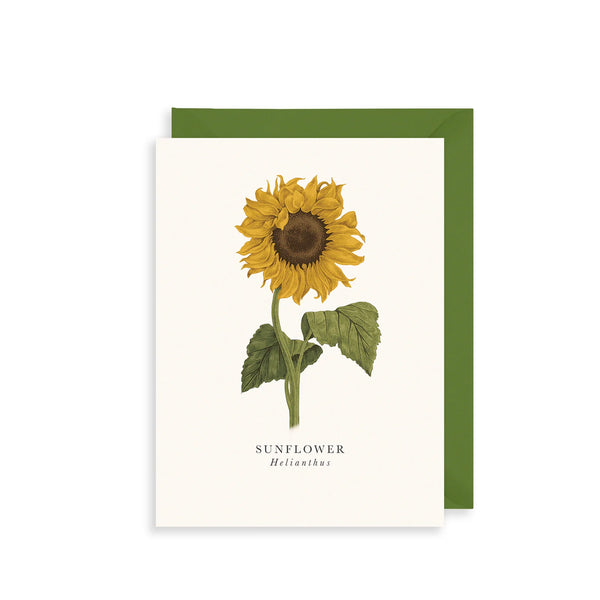 The Art File Sunflower Greetings Card